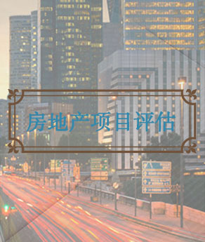 房地产项目评估