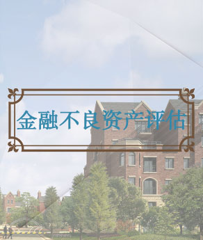 金融不良资产评估