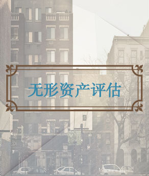 无形资产评估